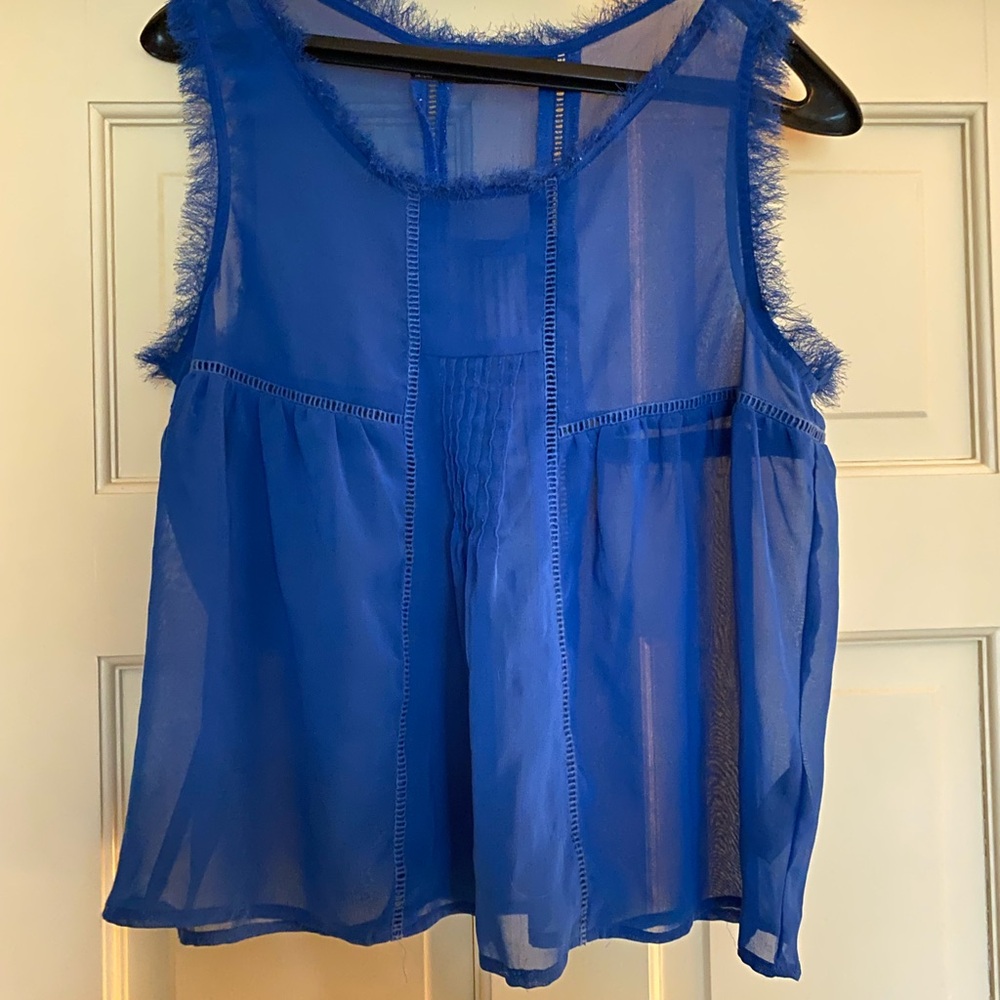 Patterson Kincaid Royal Blue Sheer Blouse.
